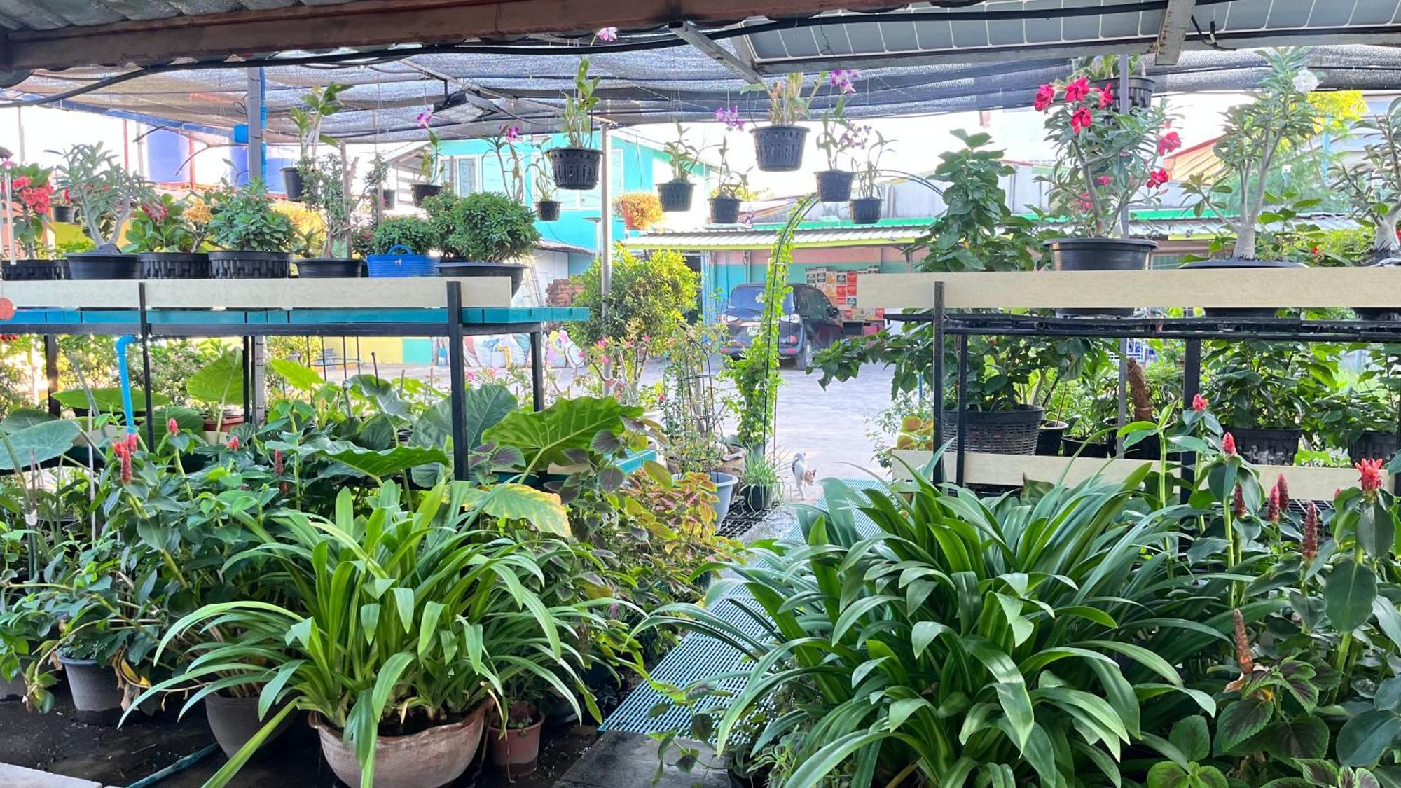 בנגקוק Pa Chalermchai Guesthouse מראה חיצוני תמונה